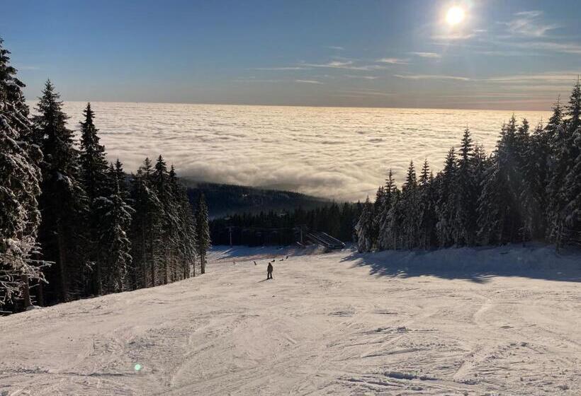 اتاق خانوادگی, Apartments Svatý Mikuláš, Janské Lázně   New Since December 2022