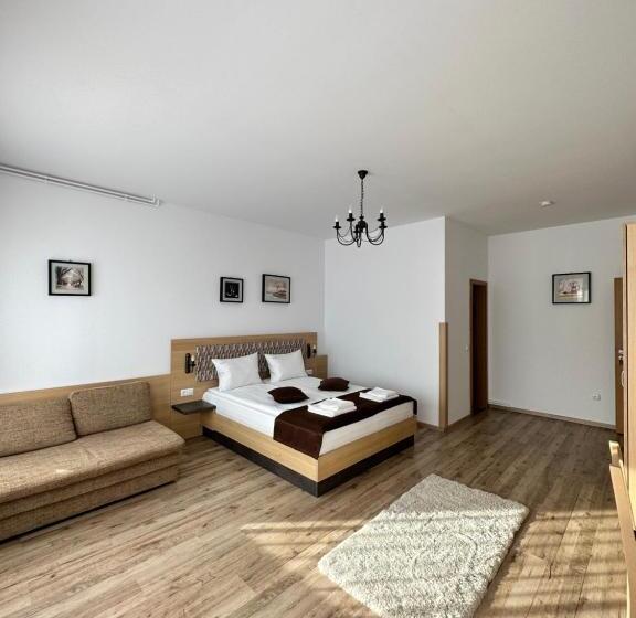 اتاق استاندارد چهارنفره با بالکن, Vila Paltinis