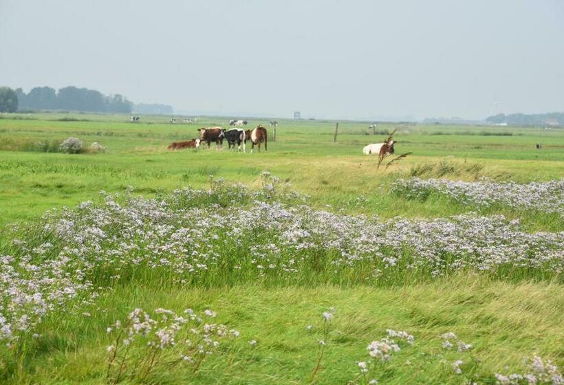 샬레, Countryside Eco Natuurhuisjes