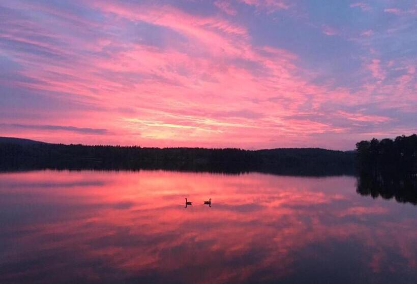 Семейный Номер, Svaneholm