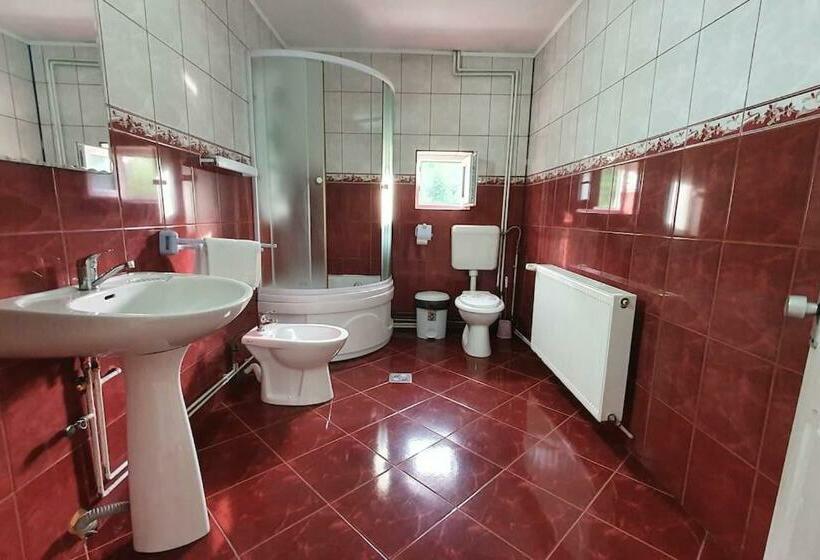 Номер Стандарт Вид на Горы, Casa Petruta Dambovicioara