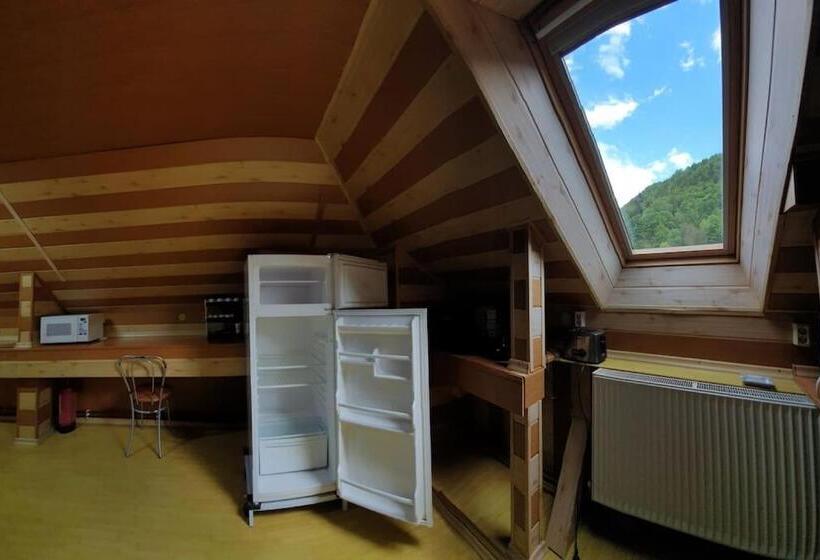 Апартаменты 1 Спальня с Балконом, Casa Petruta Dambovicioara