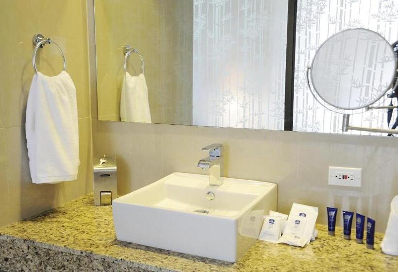 스탠다드 룸 킹사이즈 침대, Best Western Plus Panama Zen