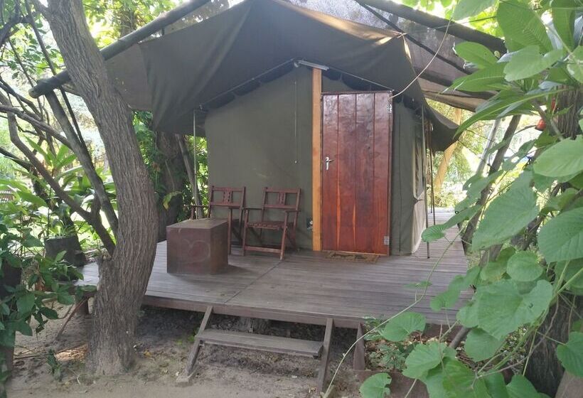 اتاق استاندارد, Caprivi Houseboat Safari Lodge