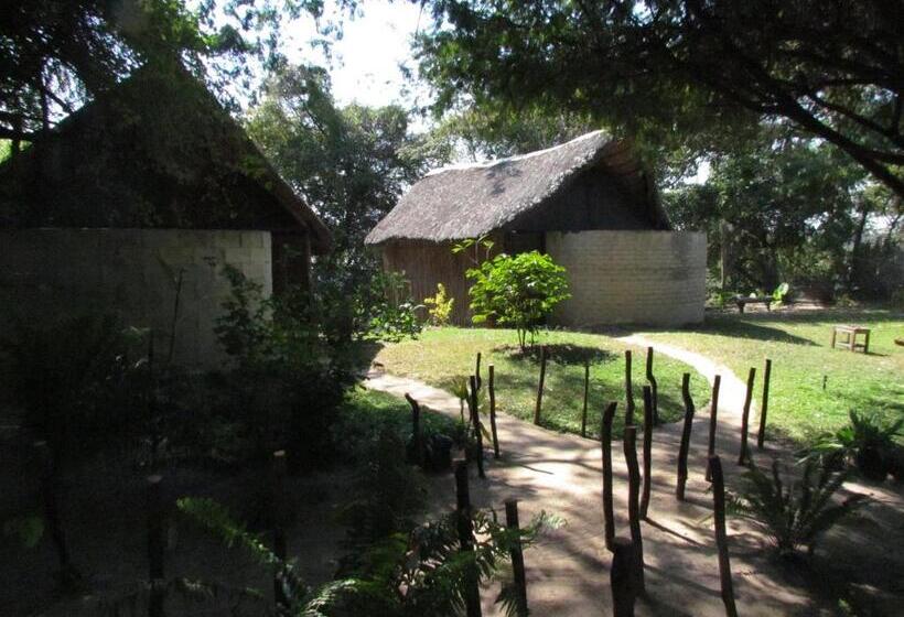اتاق استاندارد, Caprivi Houseboat Safari Lodge