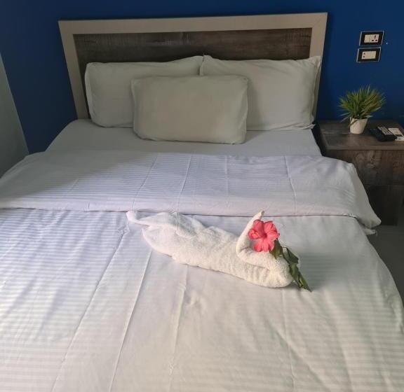 اتاق استاندارد با سرویس بهداشتی مشترک, The Australian Hostel