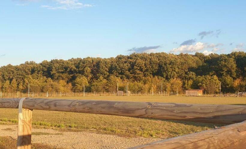 Шале 1 Спальня, Hobby Land Ranch Horse S Barn Guesthouse