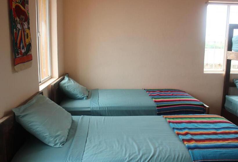 اتاق کلاسیک چهارنفره, Mision Surf