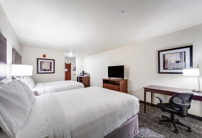 스탠다드 룸, Cobblestone Inn & Suites  Fremont