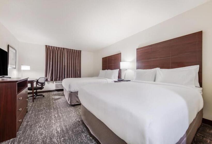 스탠다드 룸, Cobblestone Inn & Suites  Fremont