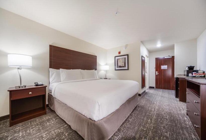 스탠다드 룸 킹사이즈 침대, Cobblestone Inn & Suites  Fremont
