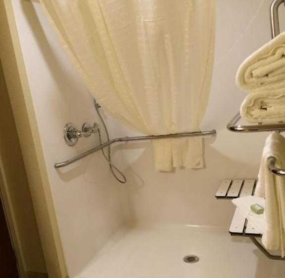 适合残疾人士使用的带超级大床的标准间, Cobblestone Hotel & Suites   Salem