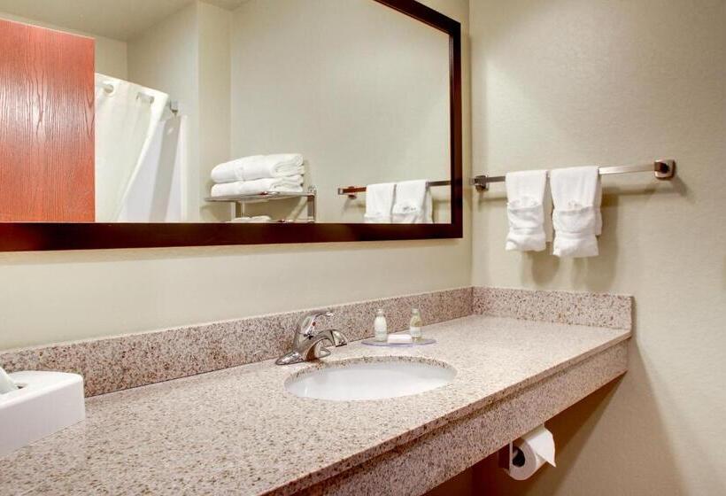带大床的标准间, Cobblestone Hotel & Suites   Salem