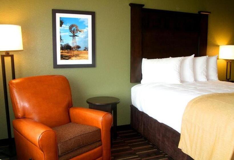 חדר סטנדרט, Comfort Inn & Suites