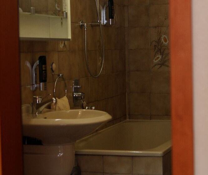 标准单人间, Pohl S Rheinhotel Adler