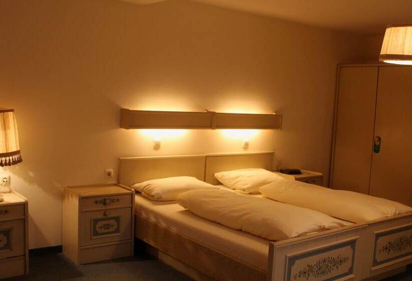 标准间, Pohl S Rheinhotel Adler