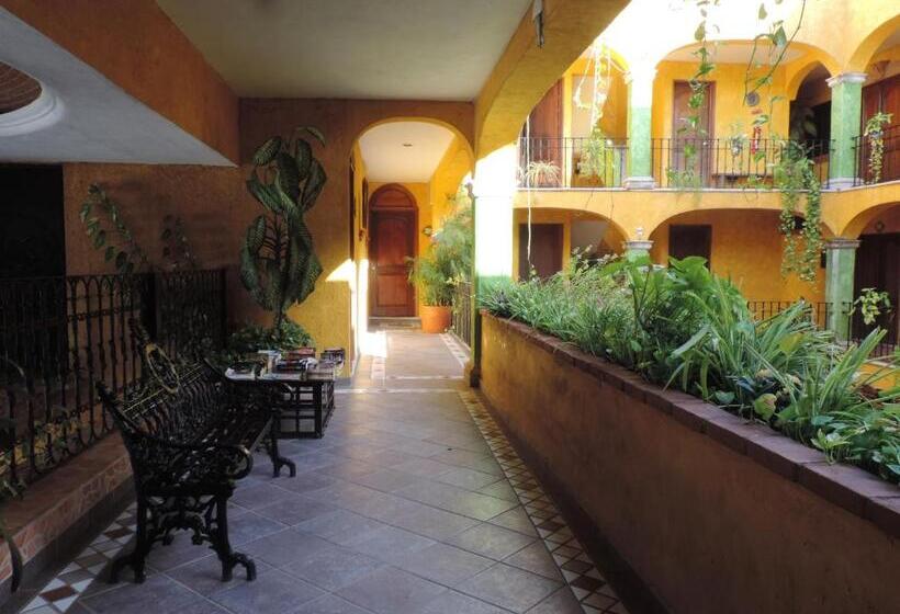 Standaardkamer met Kingsize Bed, Hacienda Del Caribe