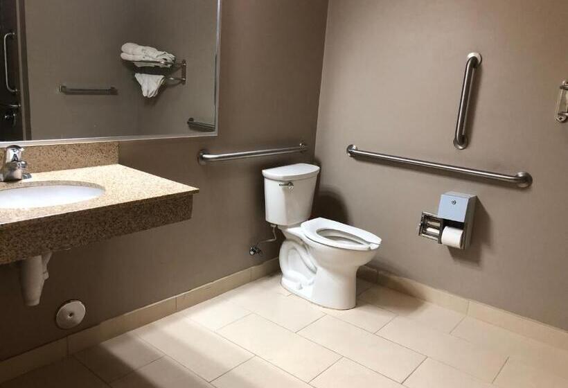 장애인을 위한 킹사이즈 침대 스탠다드 룸, Red Carpet Inn And Suites Monmouth Junction