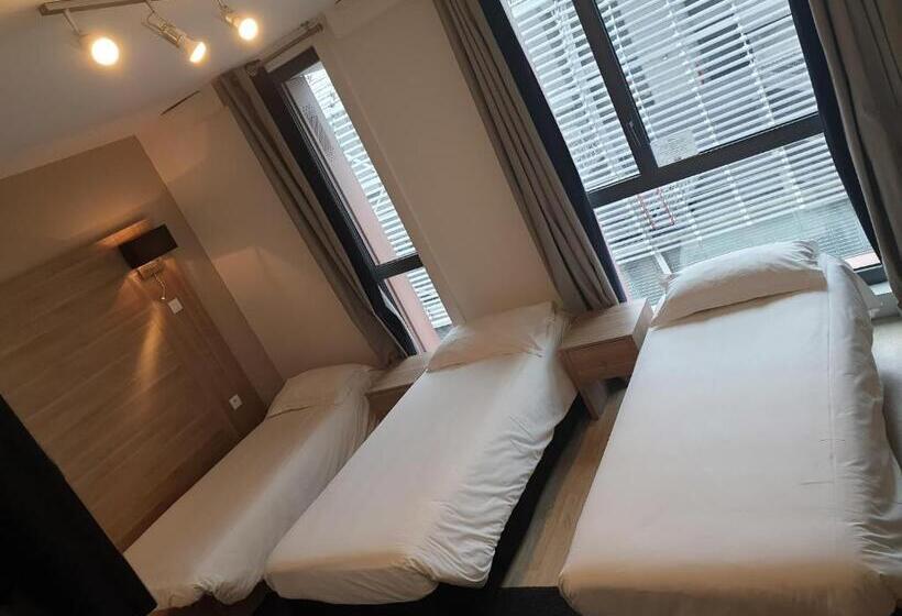استودیوی استاندارد, Twenty Business Flats Lille Grand Stade