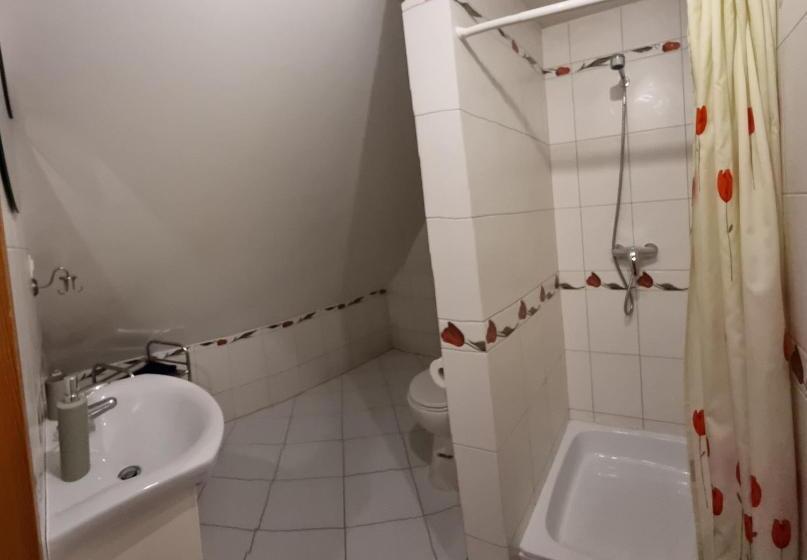 خانه 4 خوابه, Mountain House