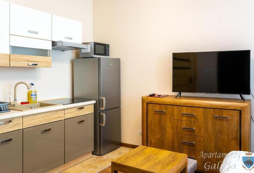 آپارتمان 1 خوابه همکف, Apartamenty Galicja