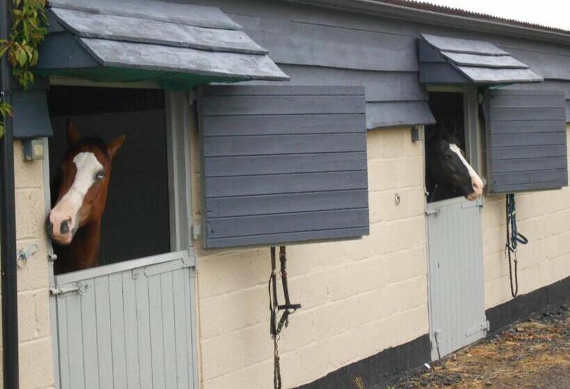 Номер Economy, The Stables   Deer Park Farm