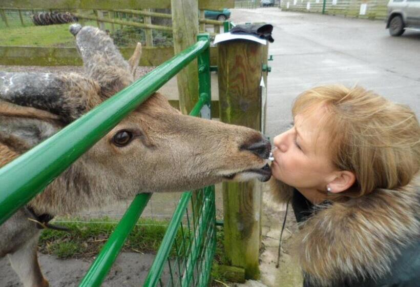Шале Superior 1 Спальня, The Stables   Deer Park Farm