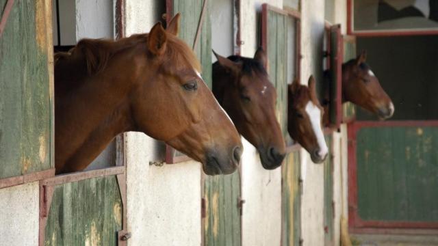 Шале 1 Спальня, The Stables   Deer Park Farm