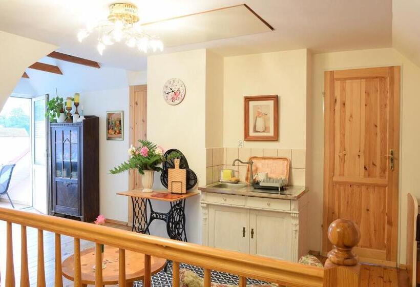 Студия Стандарт, Guest House Wiejska Sielanka