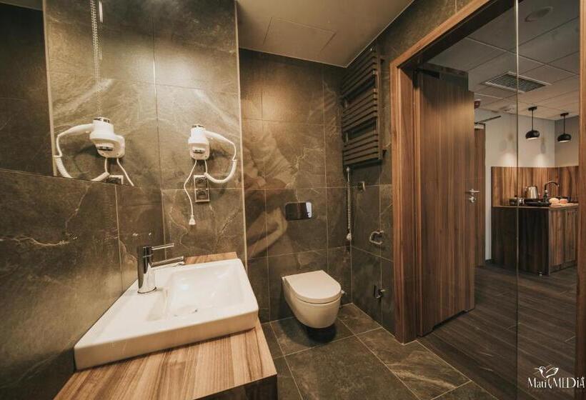Студио Стандарт с Видом, Lake Hill Karkonosze Apartments