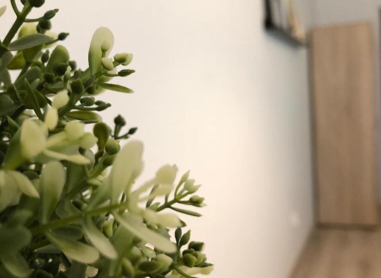 اتاق استاندارد با بالکن, Kwadrat Apartamenty Grottgera