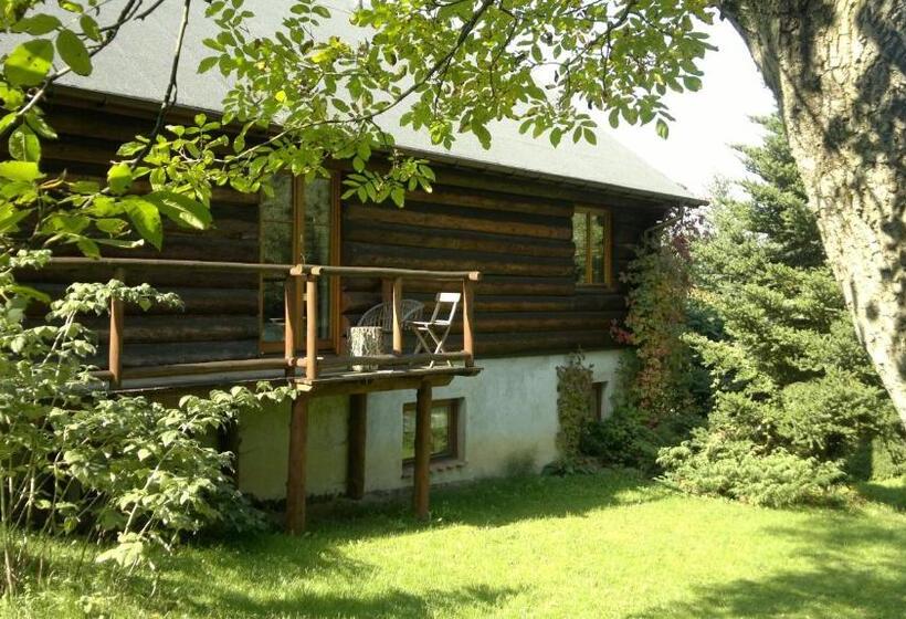 Номер Стандарт с Террасой, Amigówka