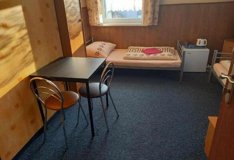 Номер Стандарт, Miltex