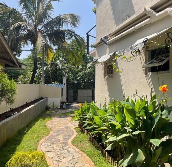 豪华房间, Habibi Hostel & Restaurant