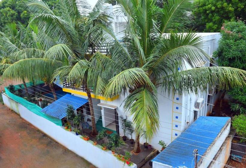 غرفة إدارية ثلاثية, The Club House  Swimming Pool That S Better Than The Beach