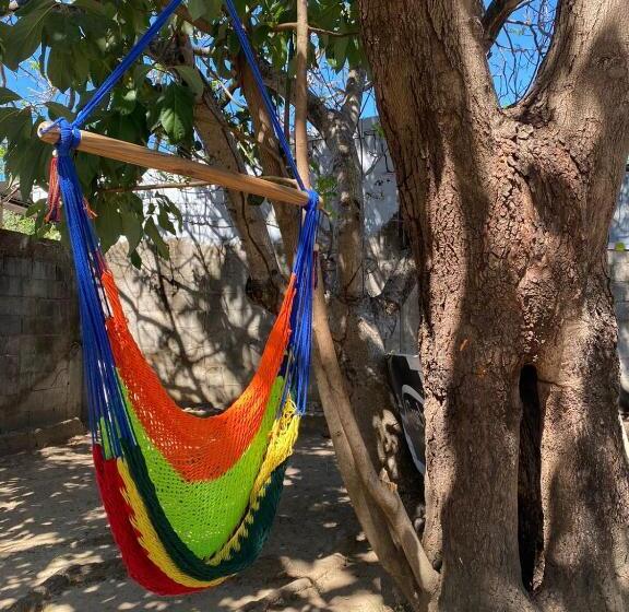 اتاق اکونومی یک تخته, Puente Real Hostel