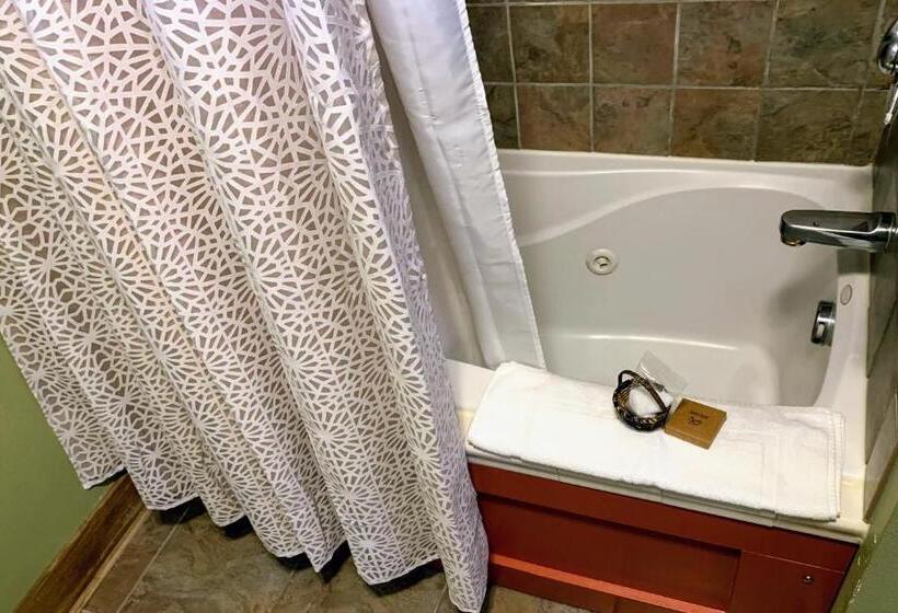 Номер Deluxe, Iowa House Historic Inn