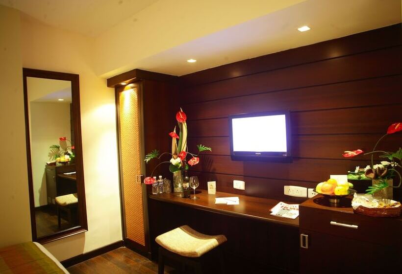 スタンダードルーム, Metropole