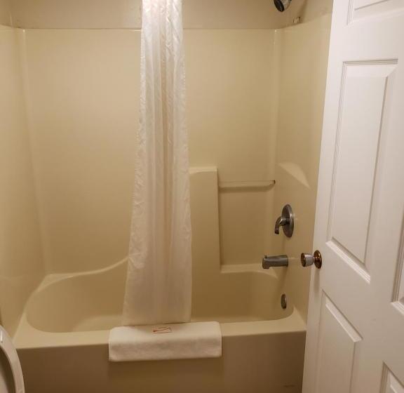 Номер Стандарт, Peach Tree Inn