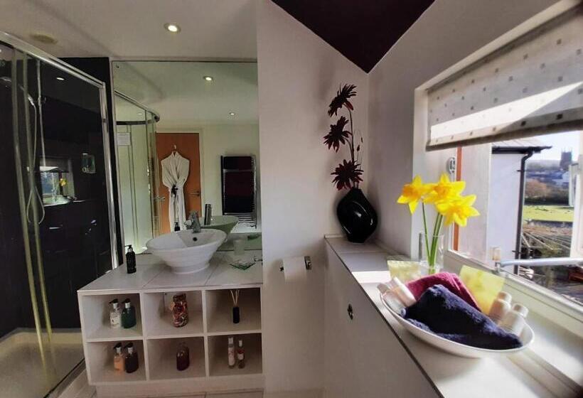 חדר דחוקס עם מיטת קינג, Oak Lodge B&b