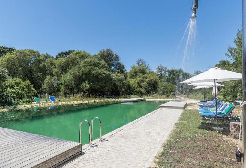 Семейный Номер, Quinta De São Pedro