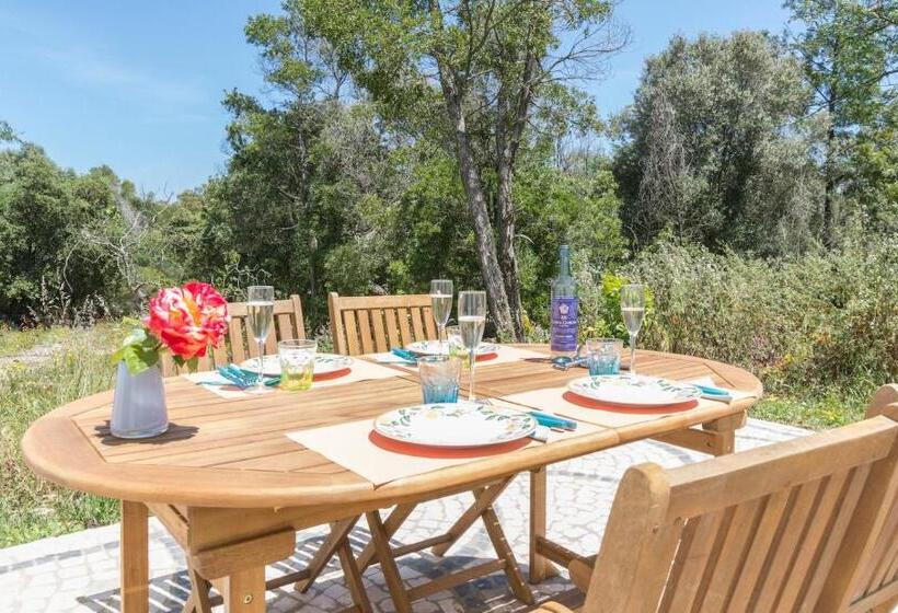Студия Стандарт, Quinta De São Pedro