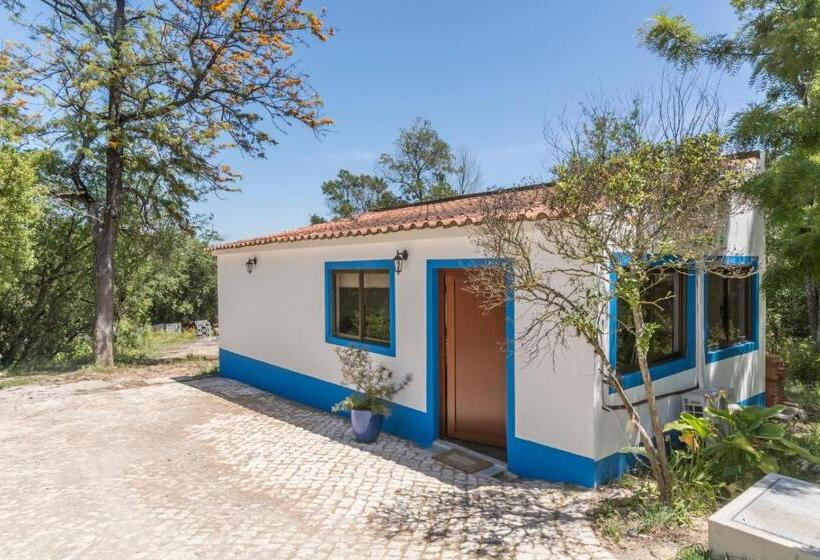 Студия Стандарт, Quinta De São Pedro