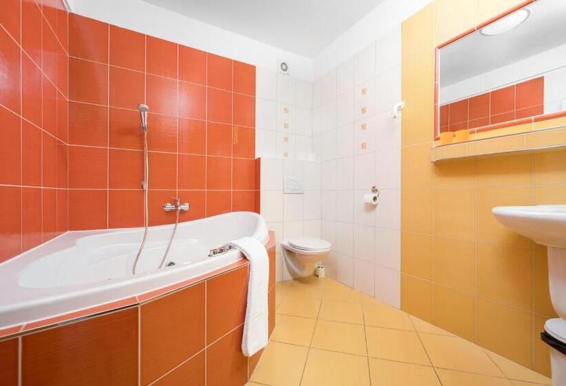 اتاق استاندارد, Horský Hotel Jelínek