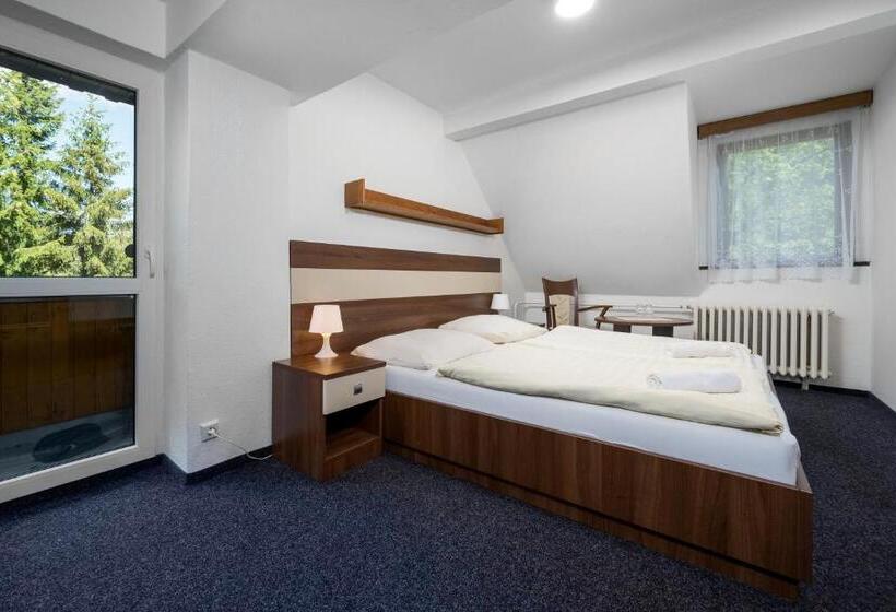 اتاق استاندارد, Horský Hotel Jelínek
