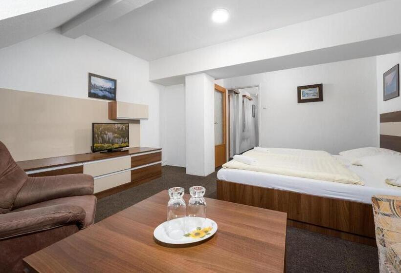 اتاق استاندارد, Horský Hotel Jelínek