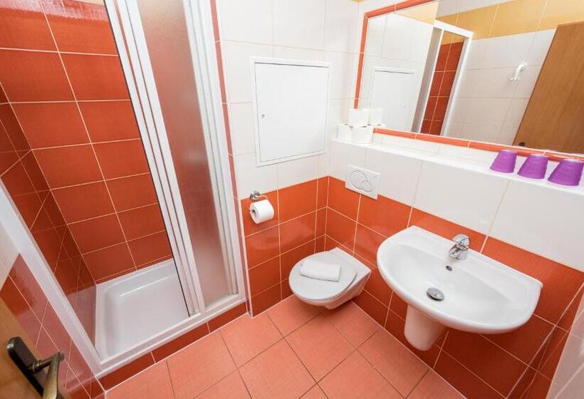 اتاق استاندارد, Horský Hotel Jelínek