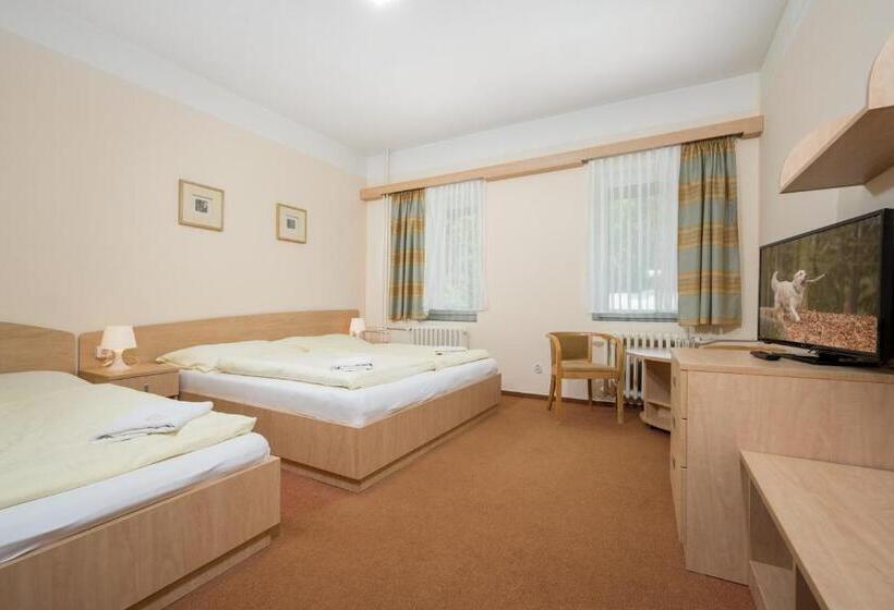 اتاق استاندارد سه نفره, Horský Hotel Jelínek