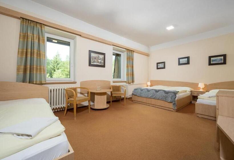 اتاق استاندارد چهار تخته, Horský Hotel Jelínek