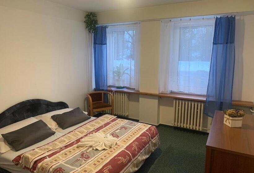 آپارتمان 1 خوابه با بالکن, Horský Hotel Jelínek